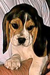Baileys02.jpg
