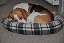 MHJ_00003929.JPG