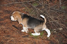MHJ_00010587.JPG