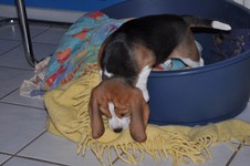 MHJ_00010687.JPG