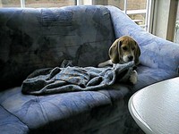 aIMG_0102.jpg