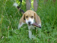 dsc00560 - Kopi.jpg