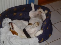dsc02507.jpg