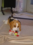 dsc02566.jpg